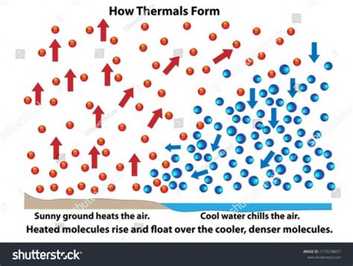 Do particles in ice cream move?