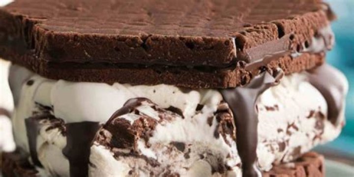 Do they still make Mississippi Mud ice cream sandwiches?