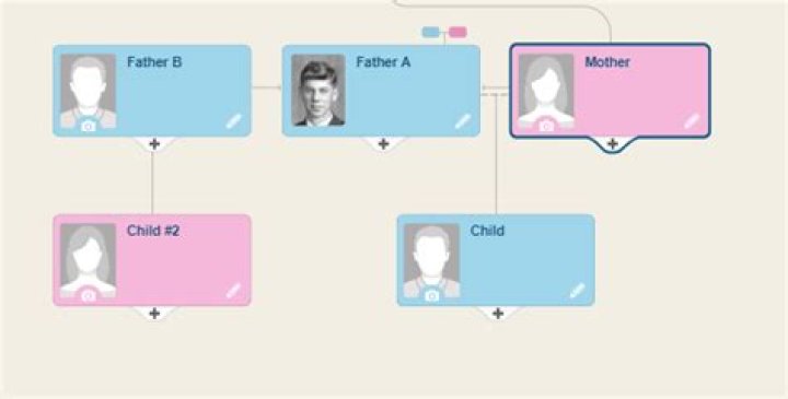 Do you add stepchildren to a family tree?