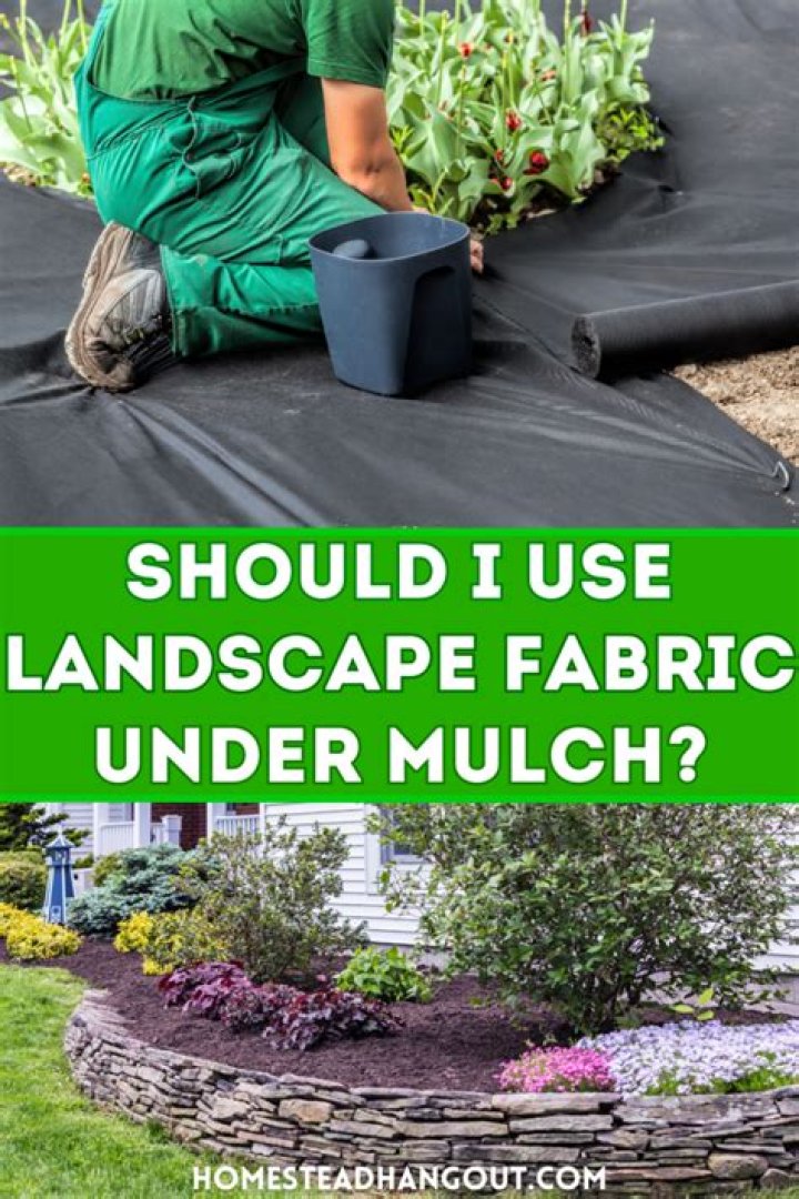 Do you need landscape fabric under pine needles?