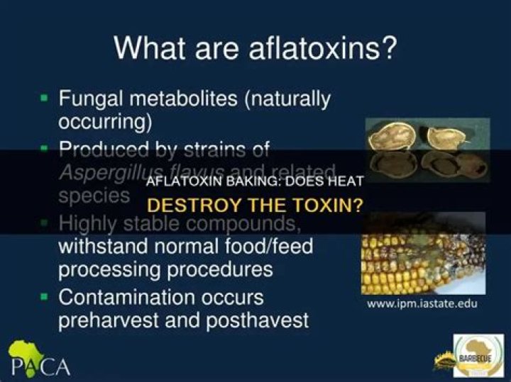 Does baking kill aflatoxin?