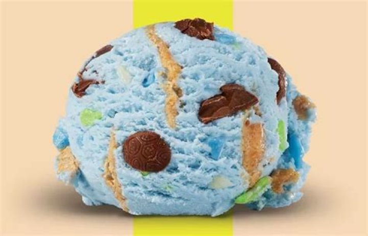 Does Baskin-Robbins have vegetarian?
