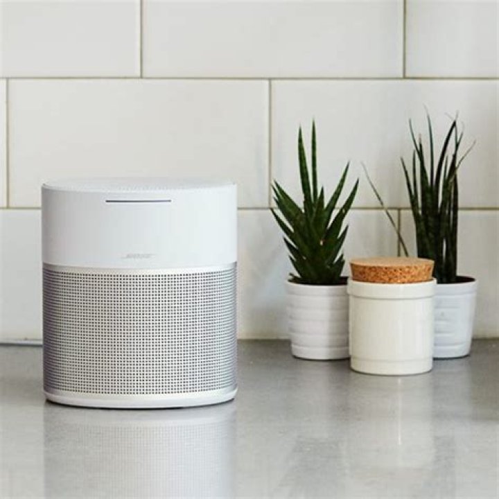 Does Bose have multiroom speakers?