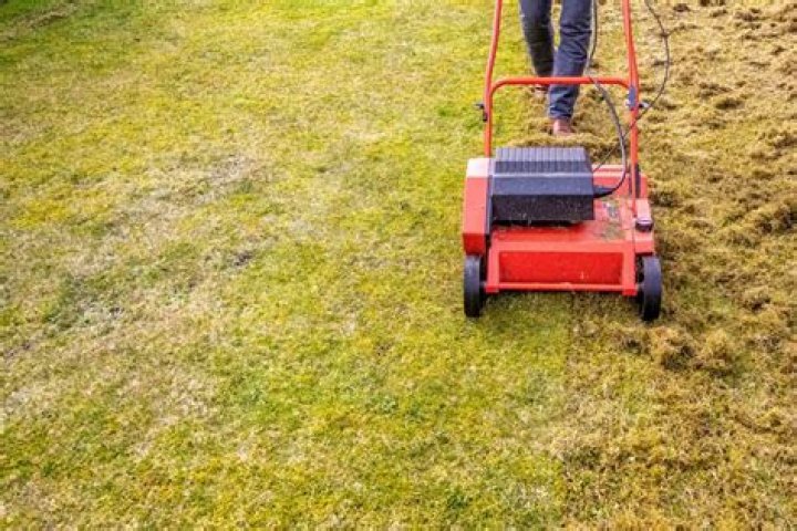 Does dethatching stress your lawn?