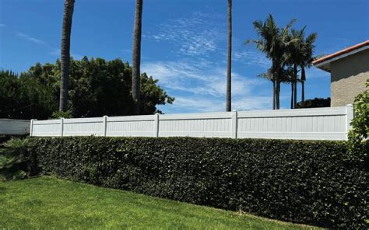 Does PVC fencing come in different colors?