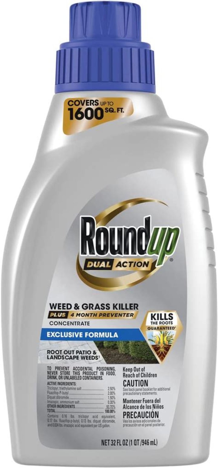 Does Roundup kill couch grass?