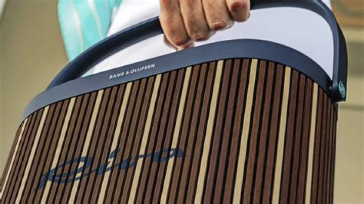 How big are the Bang and Olufsen speakers?