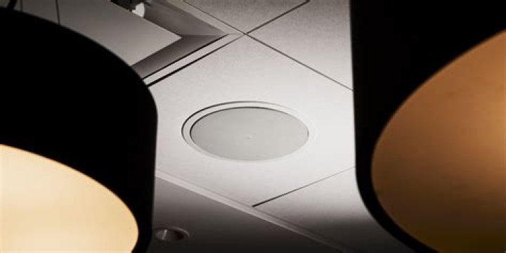 How big are the Bose speakers in the ceiling?