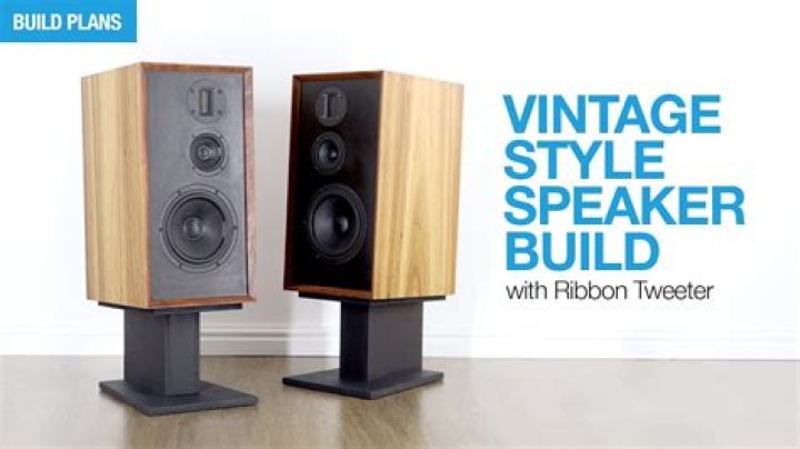 How big are the loudspeakers on the Laney L20T?