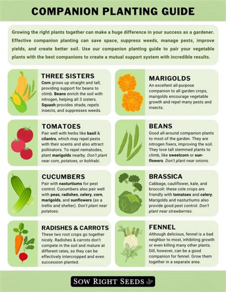 How can I make my vegetables grow better?