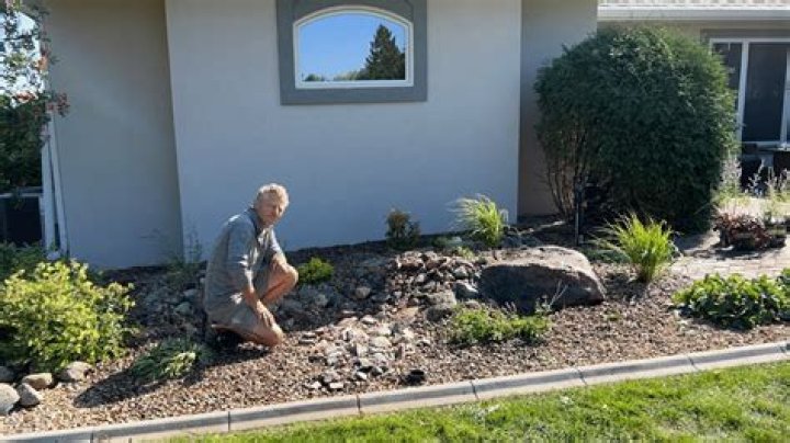 How can I make my yard look expensive?