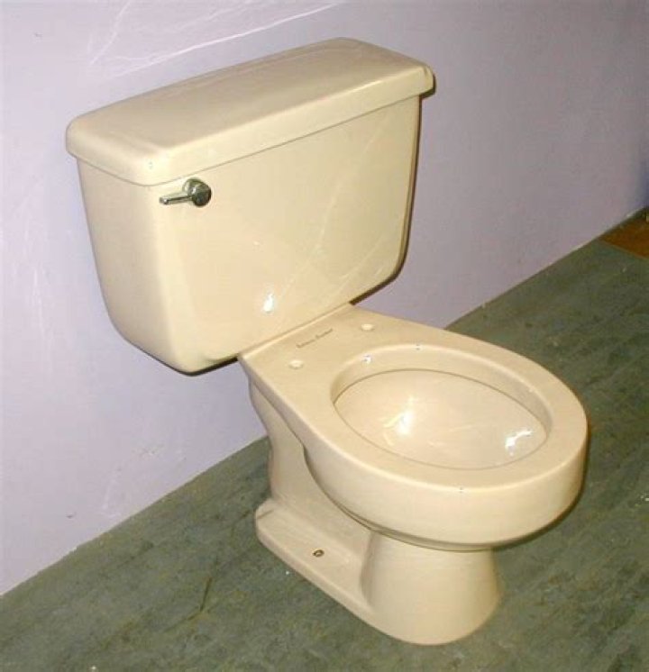 How can I tell what color my American Standard toilet is?