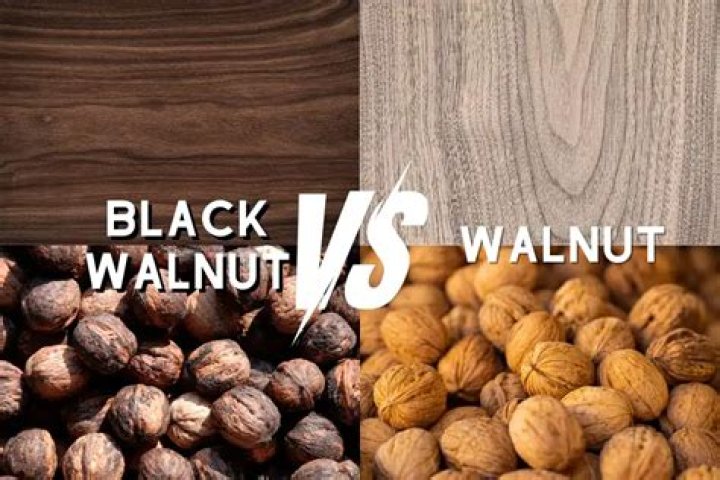 How can you tell if black walnuts are bad?