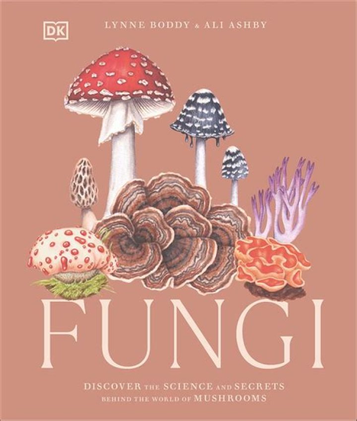 How did we discover hidden world of fungi inside the world?