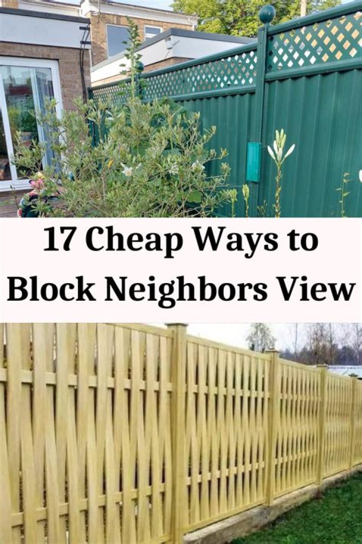 How do I block neighbors view of my yard?