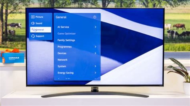 How do I connect my LG TV?
