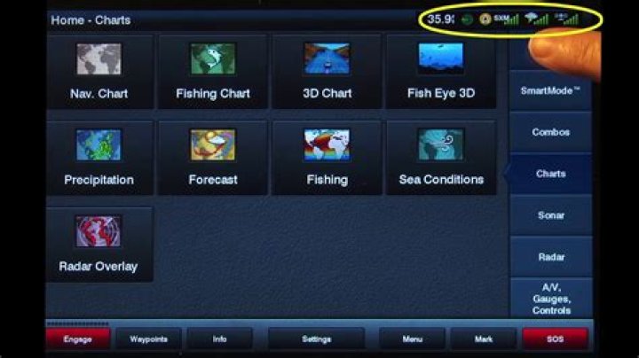 How do I find my ESN radio ID number?