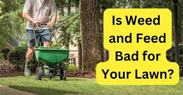 How do I fix my lawn that stays wet?
