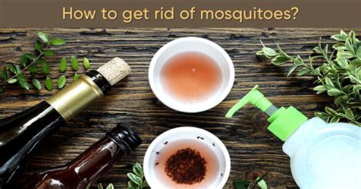 How do I get rid of neighbors mosquitoes?