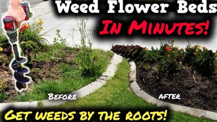 How do I get rid of weeds in my interlock?