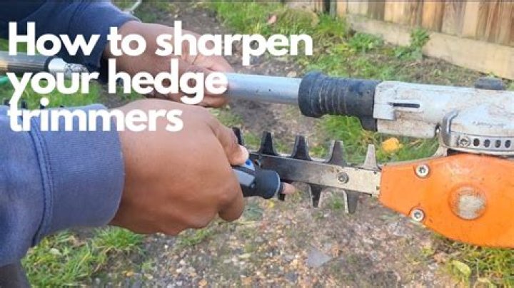 How do I keep my hedge trimmers sharp?