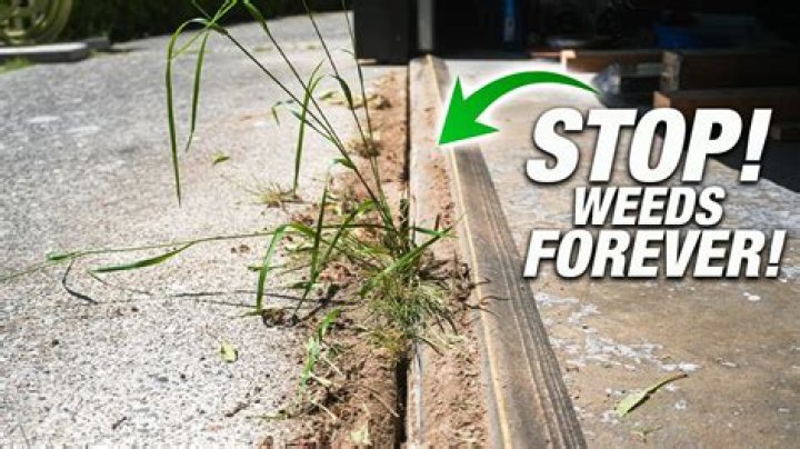 How do I keep my yard weeds free?