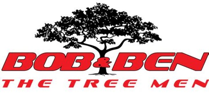 How do I know if my tree branch is dying?