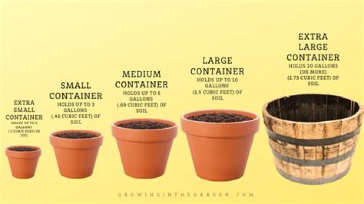 How do I know what size planter to use?