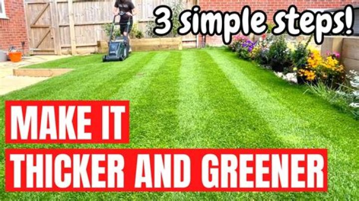 How do I make my grass green without water?
