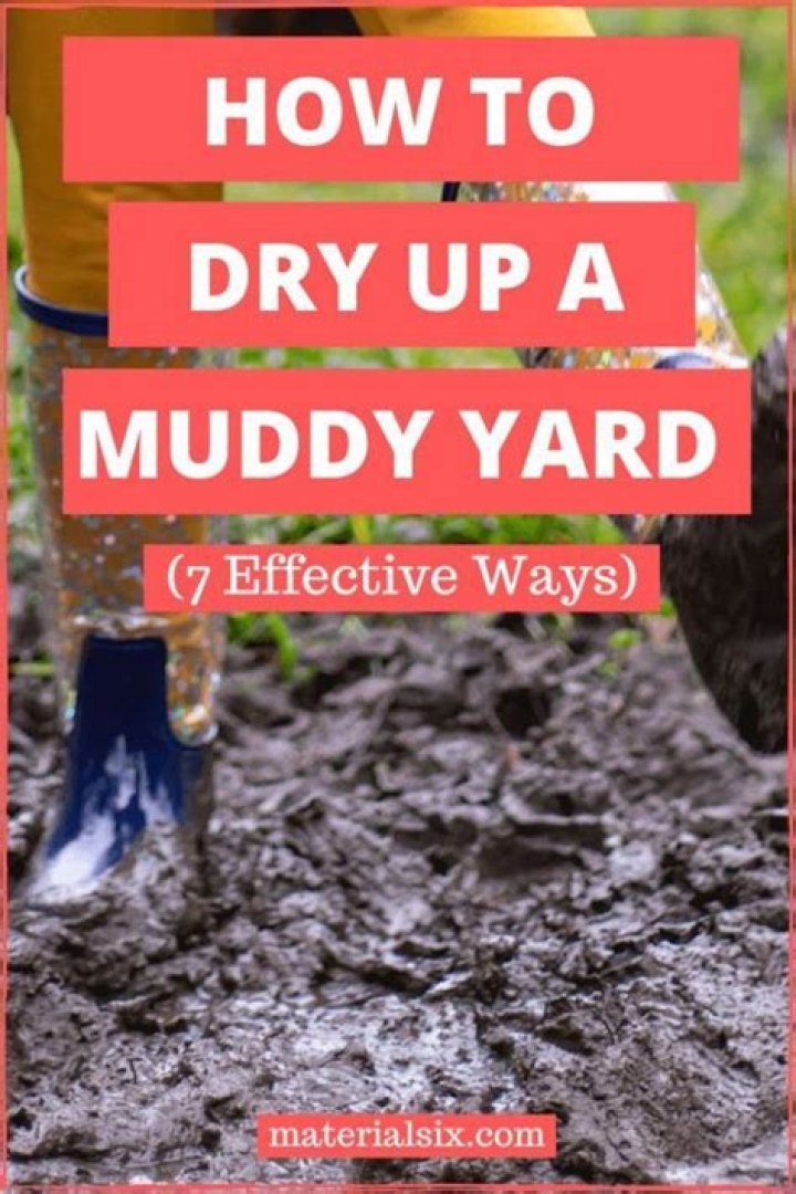 How do I make my yard less muddy?