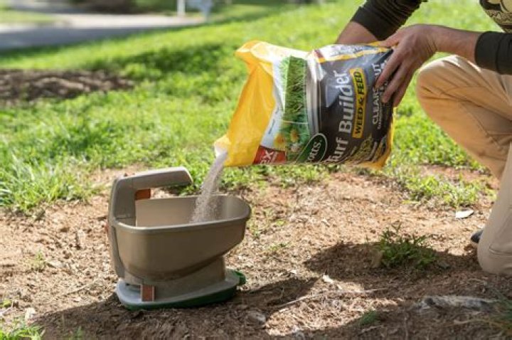 How do I naturally feed my lawn?