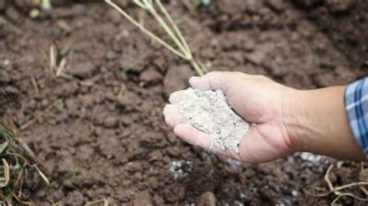 How do I raise the pH in my lawn?