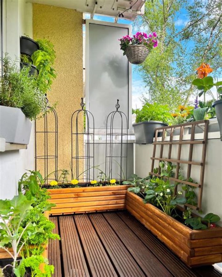 How do I start a small garden on a balcony?