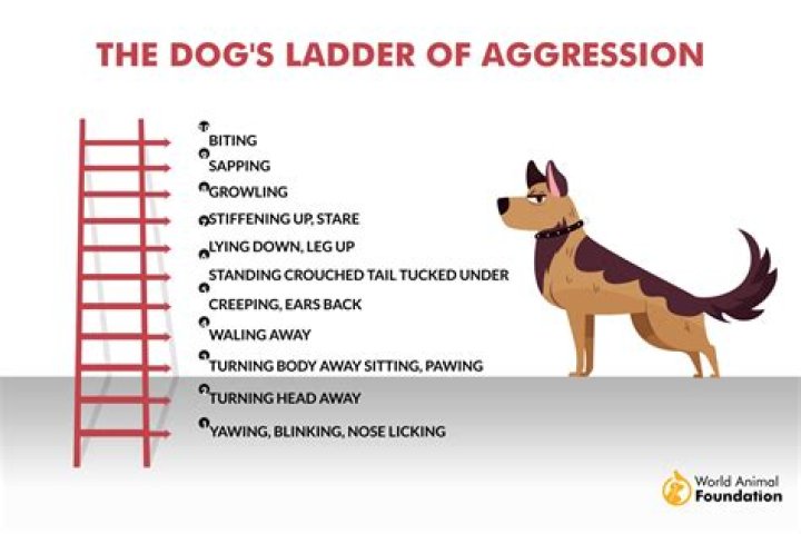 How do I stop aggressive weeds?