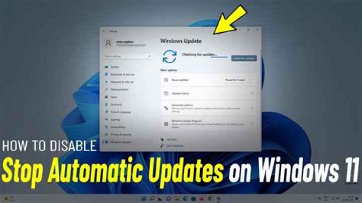 How do I stop automatic firmware updates?