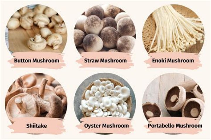 How do I tell what kind of mushroom I have?