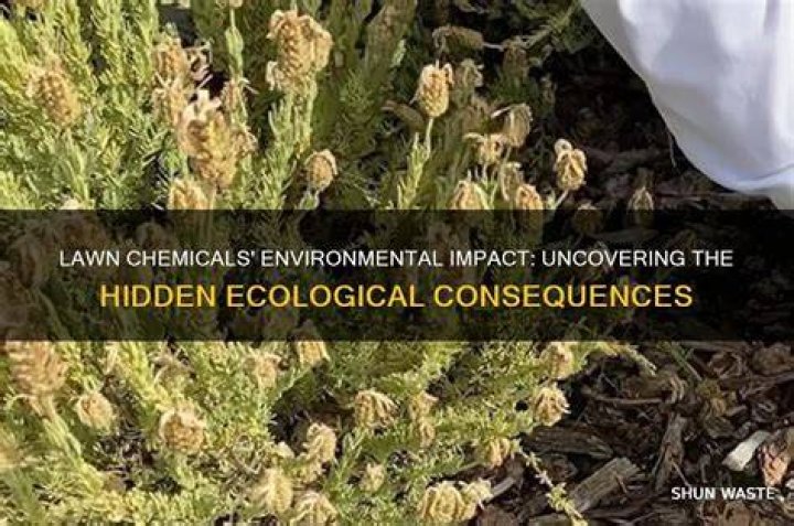 How do lawn chemicals affect the environment?