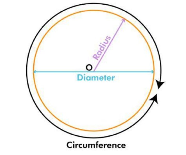 How do you calculate the diameter of an oak tree?