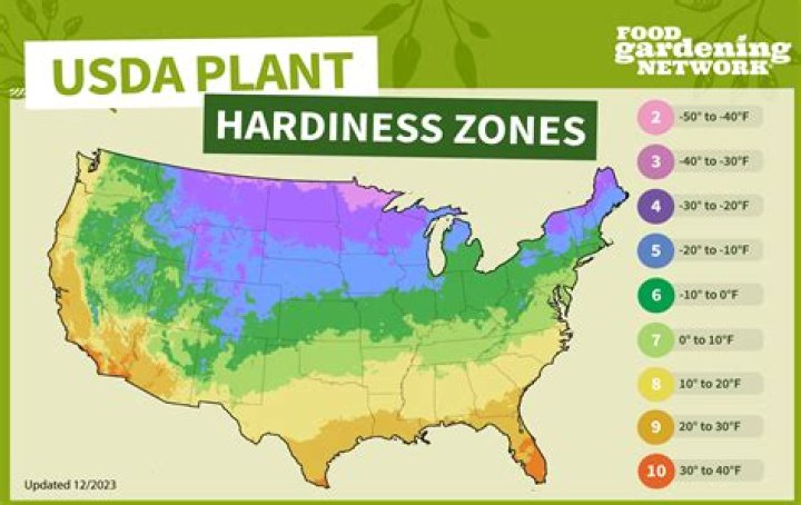How do you clear a planting area?
