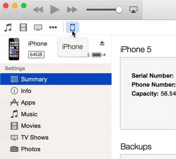 How do you connect your iPhone to your music system?