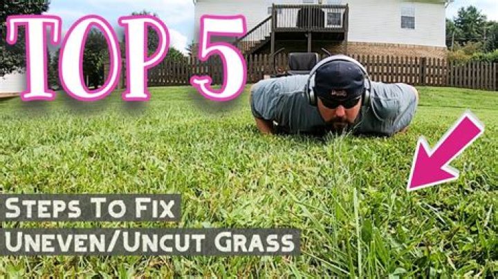 How do you even out uneven grass?