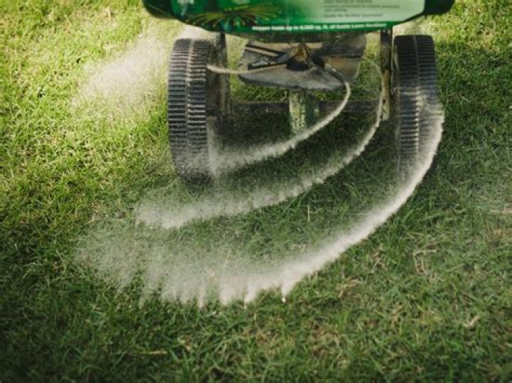 How do you fertilize established grass?
