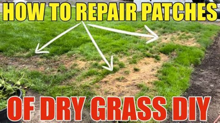 How do you fix small patches of dead grass?