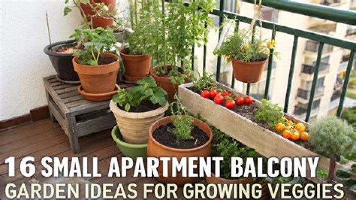 How do you garden a small balcony?