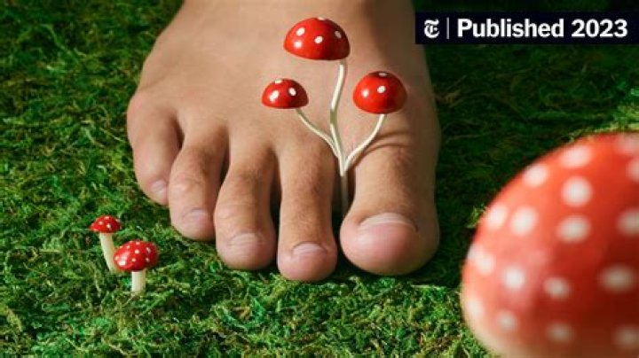 How do you get rid of fungus on your palm?