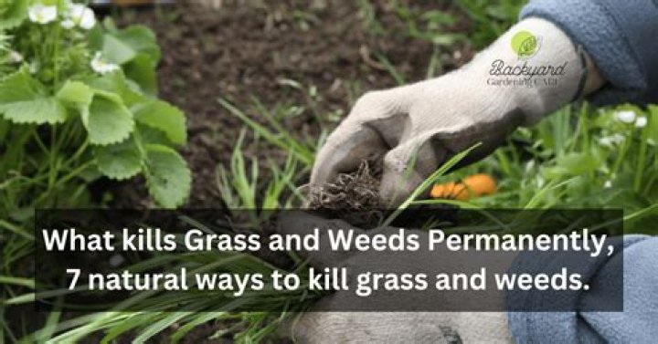 How do you get rid of grass permanently?