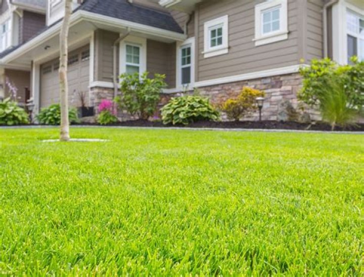How do you get the best lawn cut?
