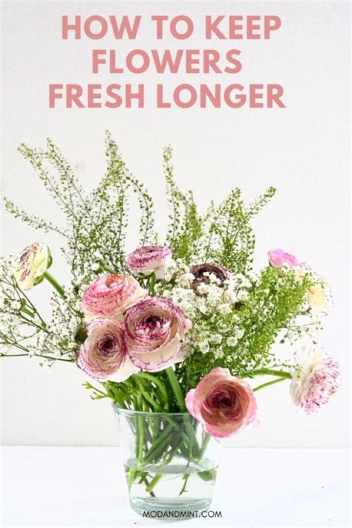 How do you keep cut flowers fresh longer?