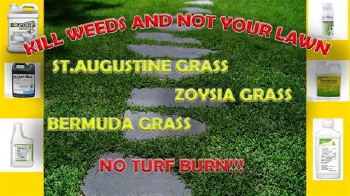 How do you kill weeds without killing clover?