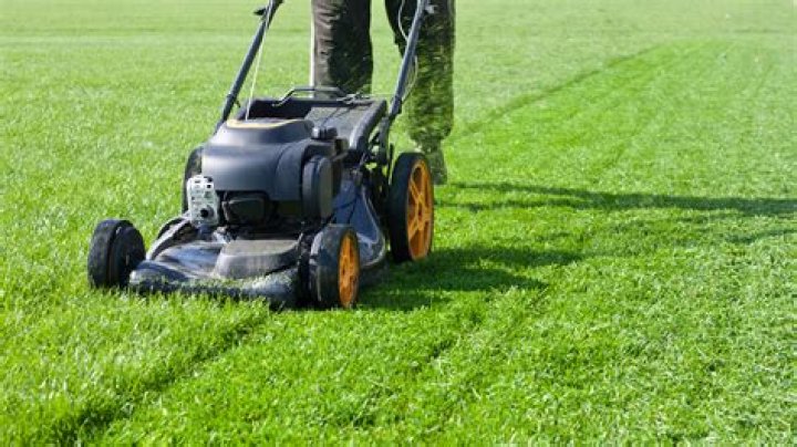 How do you maintain lawn maintenance?